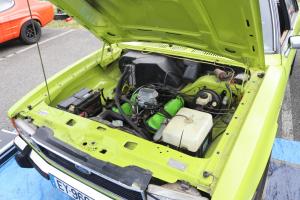 IMG 5513