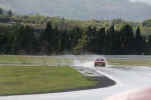 IMG 7761