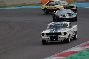 IMG 9215
