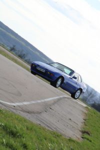 IMG 0554